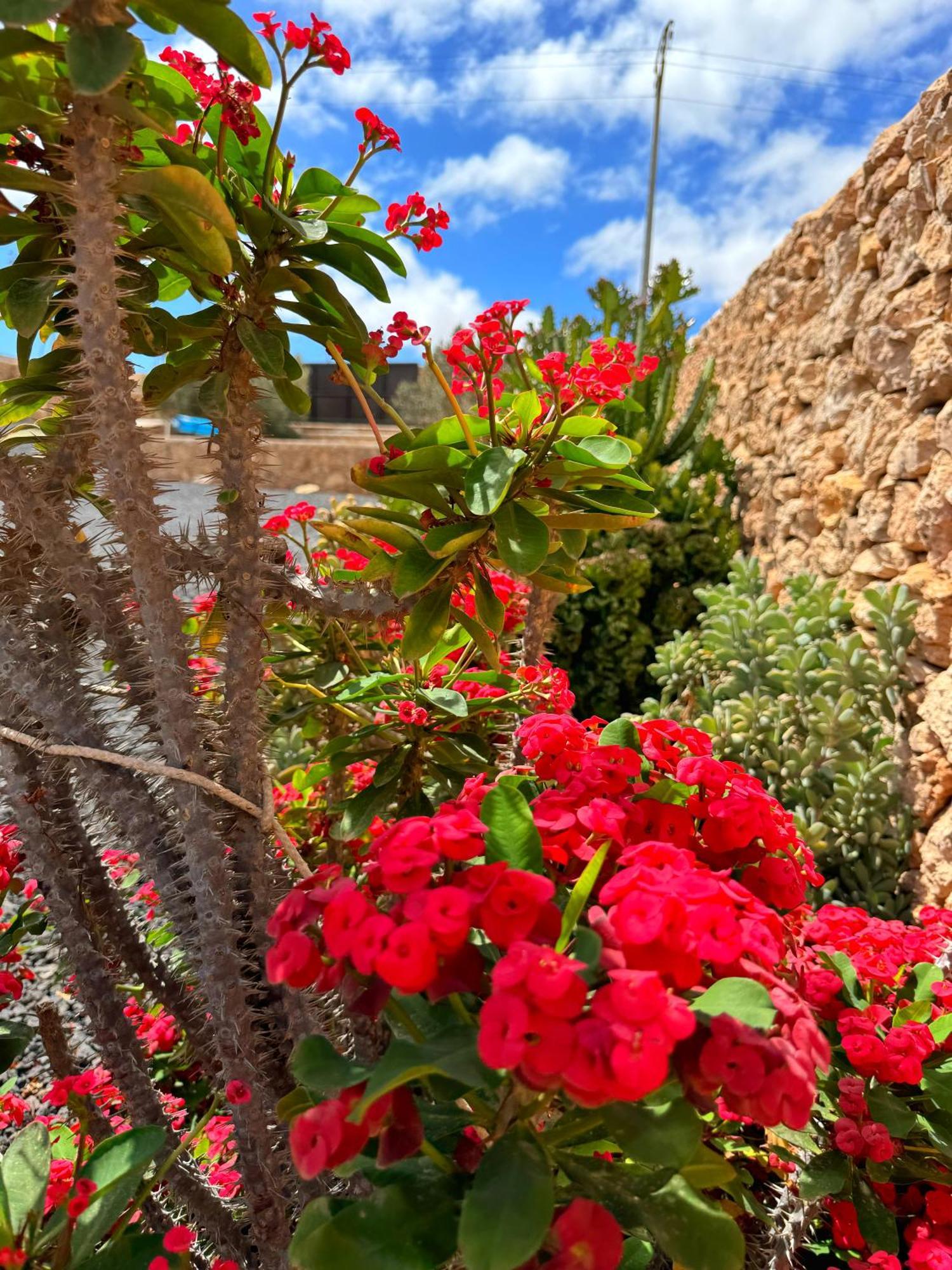Casa Marisa With Heated Pool & Garden Vila Tindaya Exterior foto